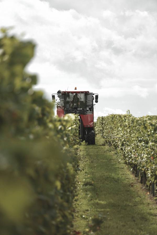 Präzisionslösungen für die Agrarwirtschaft Ein moderner Traktor fährt durch Reihen von
Weinreben und symbolisiert die Integration fortschrittlicher Technologien in der Agrarwirtschaft.